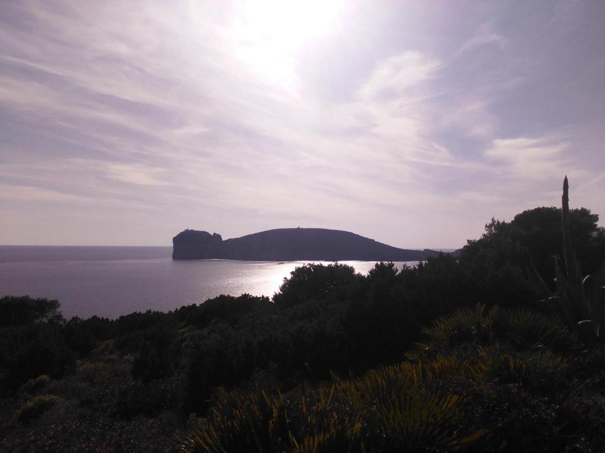 Giramondo Sardegna Affittacamere Alghero Esterno foto