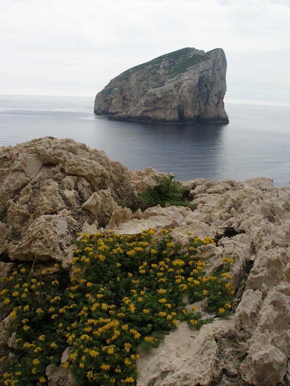 Giramondo Sardegna Affittacamere Alghero Esterno foto