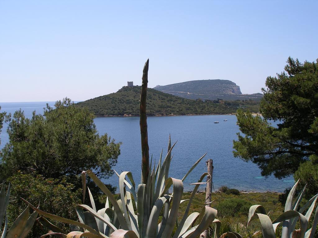 Giramondo Sardegna Affittacamere Alghero Esterno foto