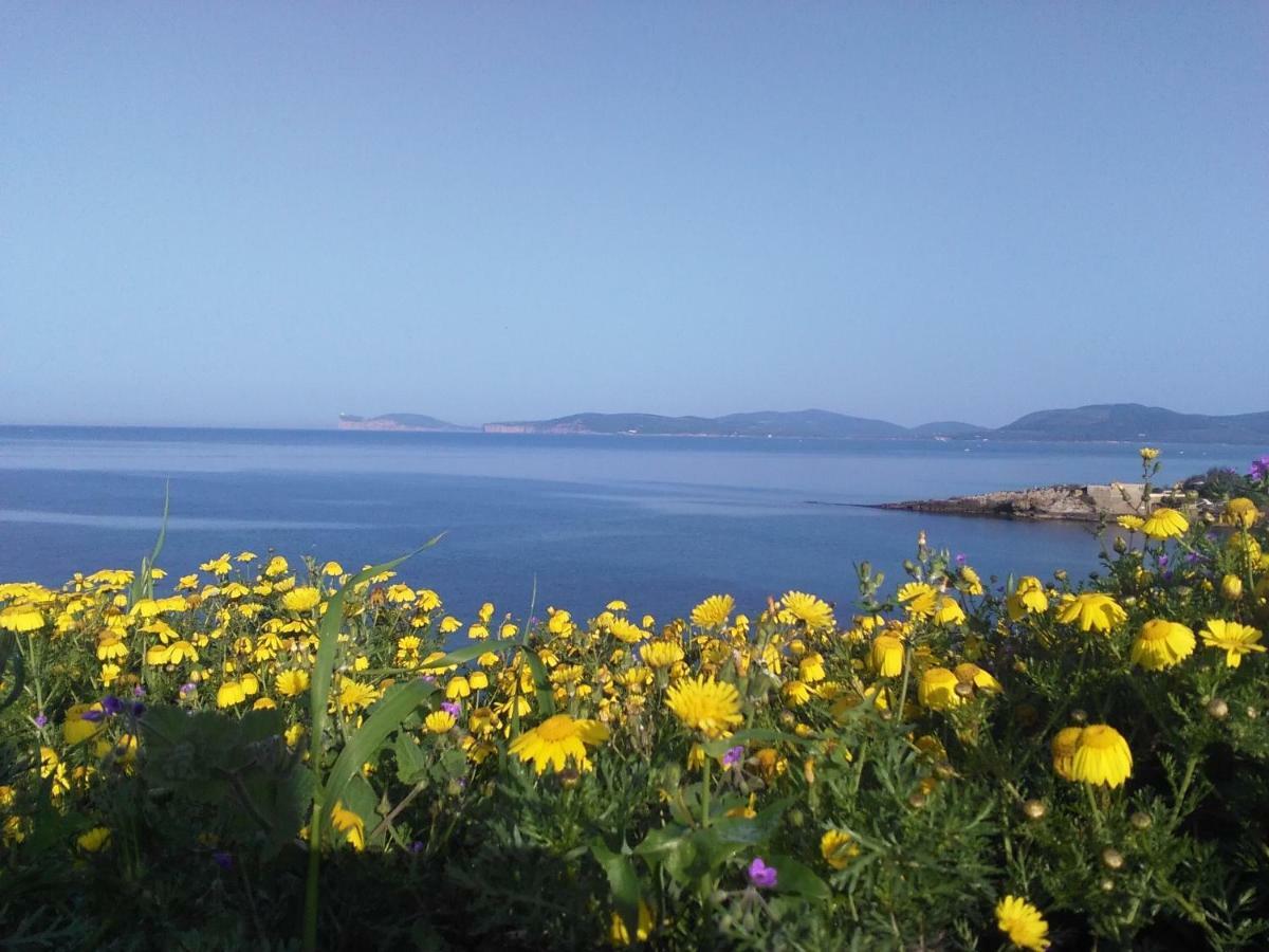 Giramondo Sardegna Affittacamere Alghero Esterno foto