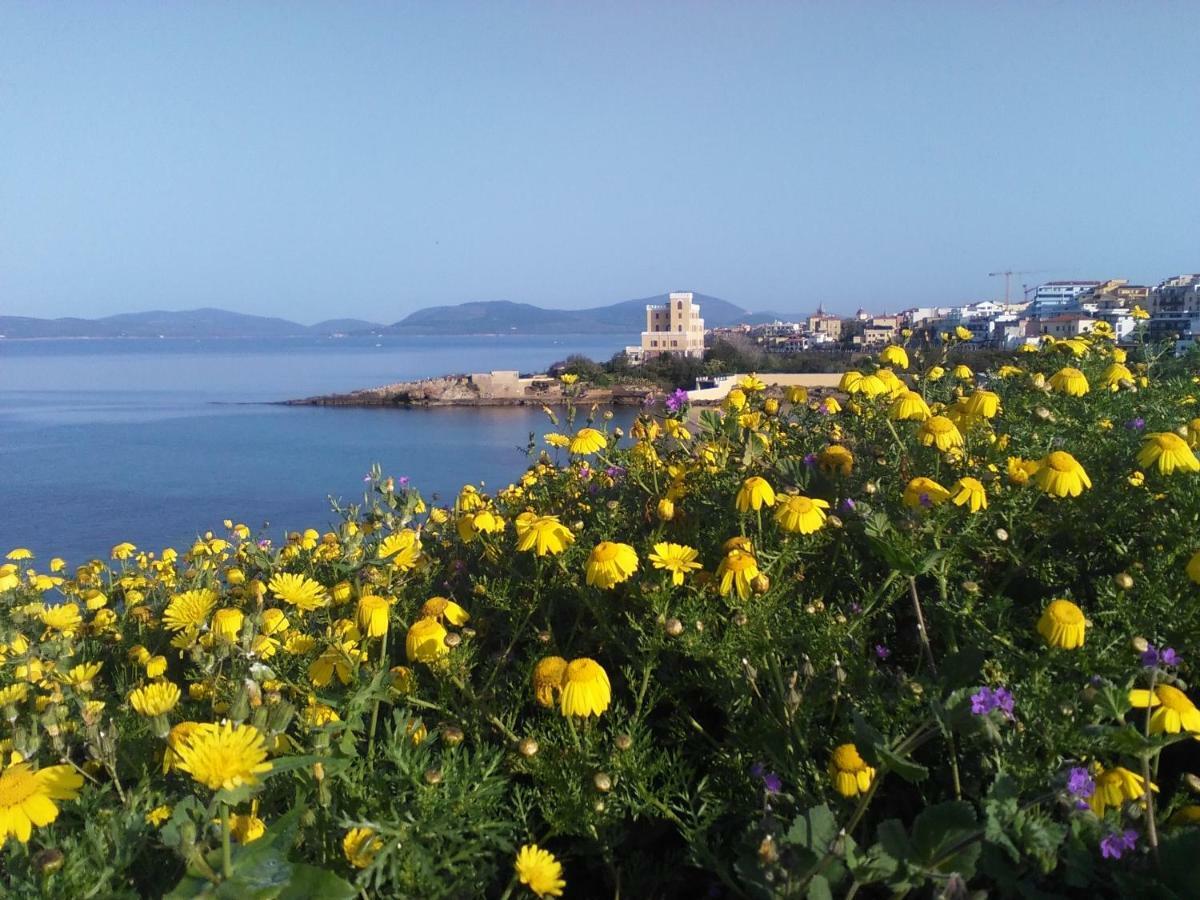 Giramondo Sardegna Affittacamere Alghero Esterno foto