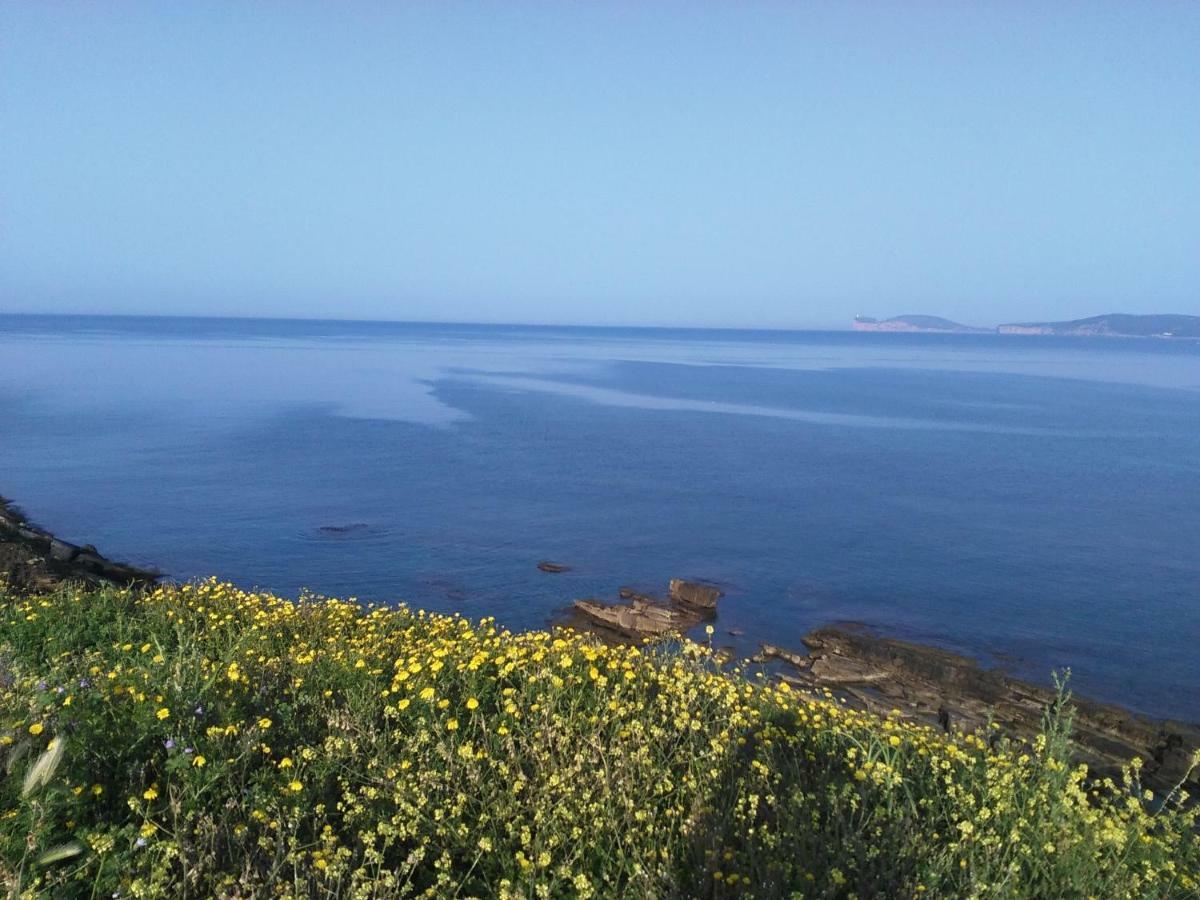 Giramondo Sardegna Affittacamere Alghero Esterno foto